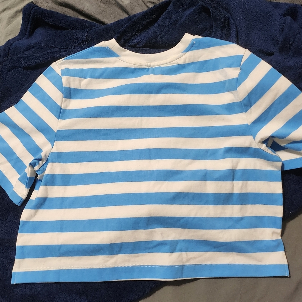 Blue and White Striped Cropped Shirt